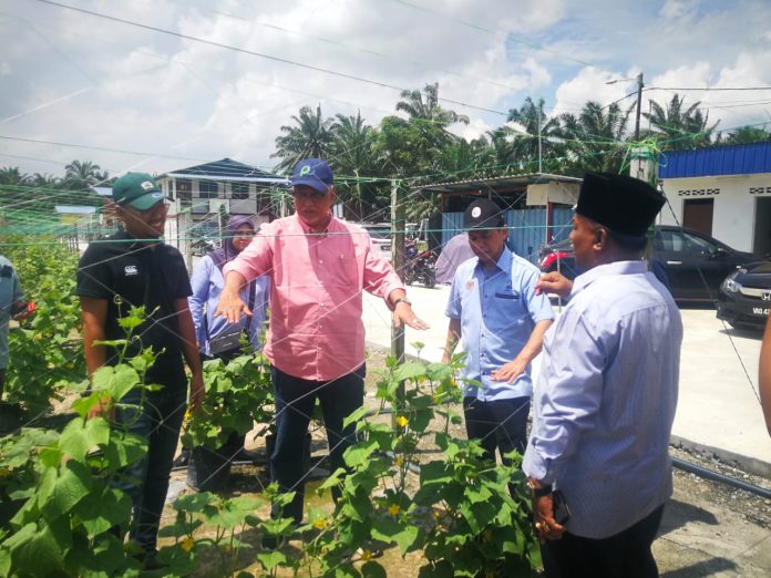 Orang muda profesional perlu ceburi bidang pertanian