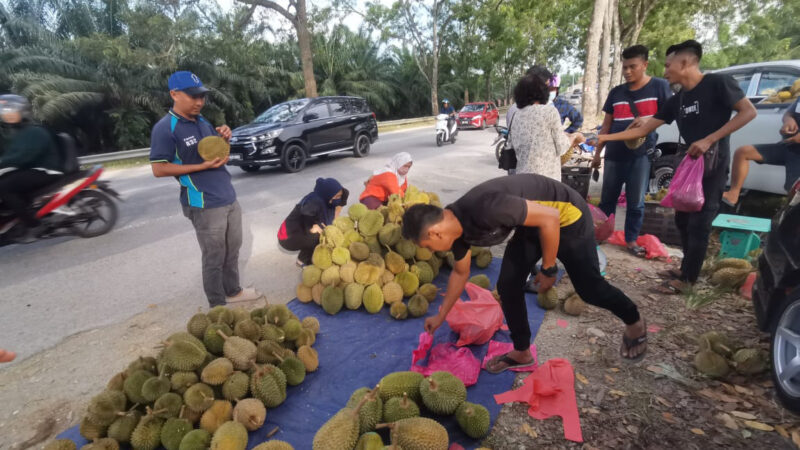 Durian serendah RM7 laku keras musim panas