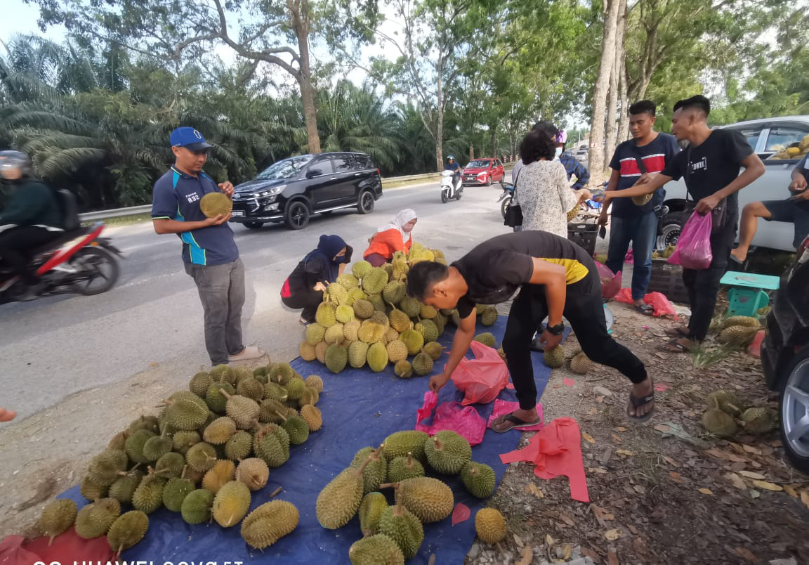 Durian serendah RM7 laku keras musim panas