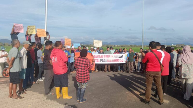 Harga padi: Pesawah kecewa kerajaan ‘senyap’ lepas terima memorandum. Nak tunggu sampai bila?