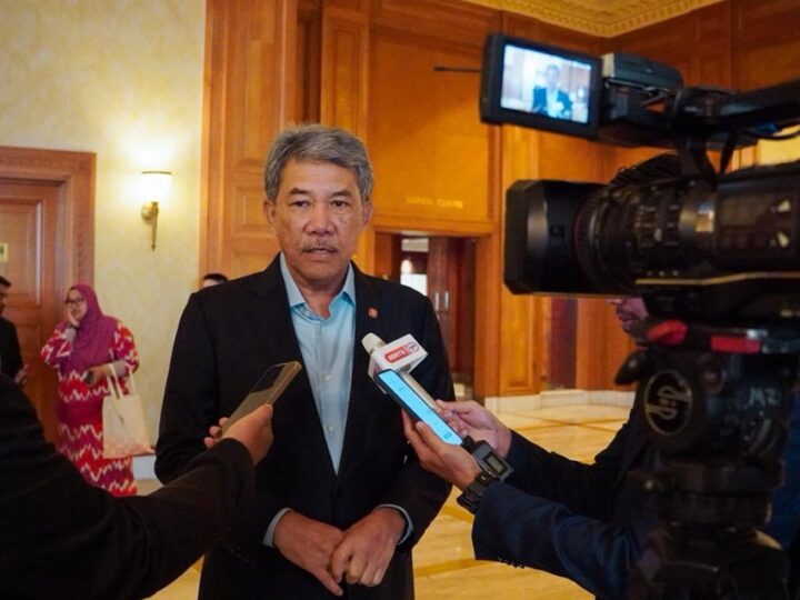 Pemuda DAP desak PM pecat Mat Hasan isu sokong ‘tebuk atap’ NS